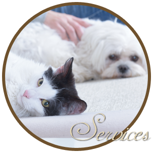 services